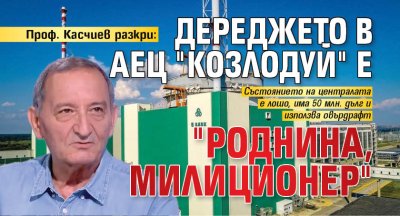 Проф. Касчиев разкри: Дереджето в АЕЦ "Козлодуй" е "роднина, милиционер"