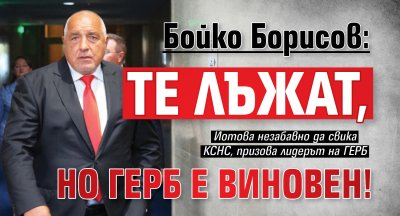 Бойко Борисов: Те лъжат, но ГЕРБ е виновен! (ВИДЕО)