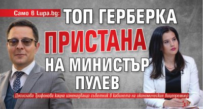 Вицепремиерът и министър на икономиката Александър Пулев е прибрал под