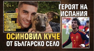 Героят на Испания осиновил куче от българско село