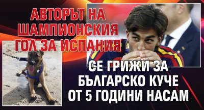 Авторът на шампионския гол за Испания се грижи за българско куче от 5 години насам