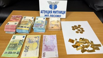 Спипаха циганка с 16 000 евро в гащите на Лесово