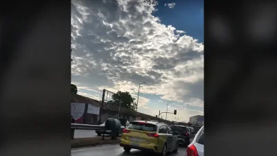 Кон се разходи между движещи се автомобили на столичен булевард