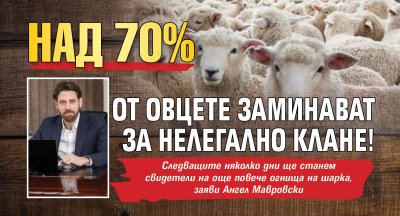 Над 70% от овцете заминават за нелегално клане!