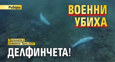Рибари: Военни убиха делфинчета!
