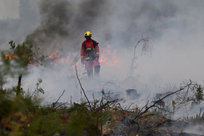 Огнената стихия изпепели прочутите лозя край Бордо 