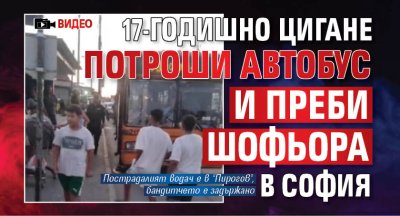 17-годишно цигане потроши автобус и преби шофьора в София (ВИДЕО)