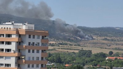 Локализираха пожара при Радловци