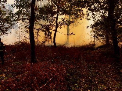 Камера засне мъж, който пали сухи треви край Чирпан