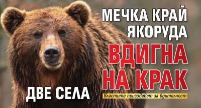 Мечка край Якоруда вдигна на крак две села