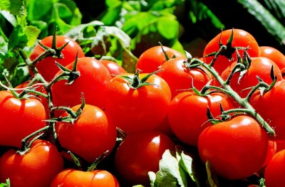 В България е така: В разгара на сезона доматите поскъпнаха с 16%