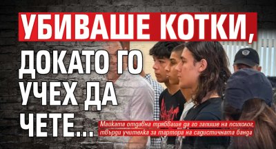Класната на единия убиец в Пловдив: Убиваше котки, докато го учех да чете...