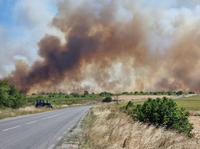 Голям пожар бушува в Ямболско