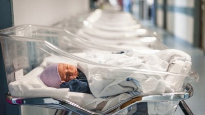Сътресения и в инвитрото
