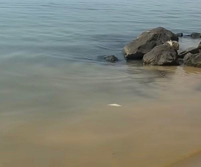 Първо в Lupa.bg: Спука се обходна тръба в Свети Влас, хората негодуват