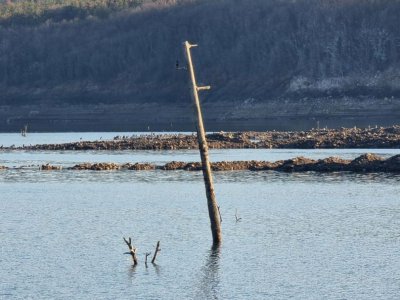 Водолази са извадили тялото на удавил се в язовир &bdquo;Огоста&ldquo; рибар