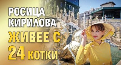 Росица Кирилова живее с 24 котки