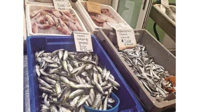 Морето ври от циганка, връщат я обратно