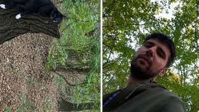 Побой над шеф "Чичо Гошо", който дере котки в тикток