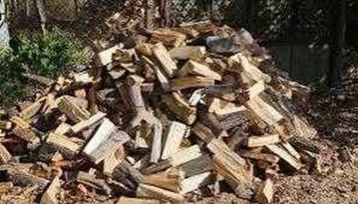 Ченгета намериха незаконни дърва
