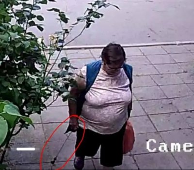 &bdquo;Баба хулиганка&ldquo; удари в &bdquo;Дружба&ldquo; 