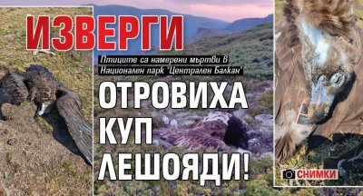 Изверги отровиха куп лешояди! (СНИМКИ) 