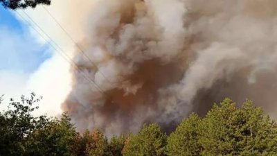 Овладяха пожара край село Камен връх