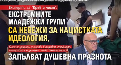 Експерти за "Кръв и чест": Екстремните младежки групи са невежи за нацистката идеология, запълват душевна празнота 