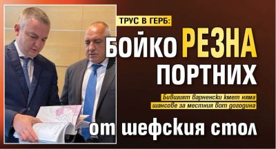 ТРУС В ГЕРБ: Бойко резна Портних от шефския стол 