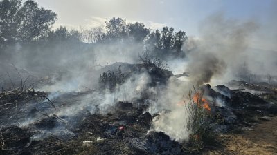 Пожарът край петричкото село Рупите отново се е разгорял