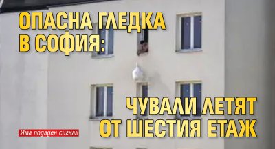 Опасна гледка в София: чували летят от шестия етаж