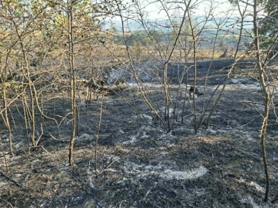 Обявиха частично бедствено положение в Хасковско заради пожара 