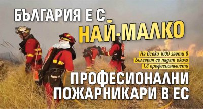 България е с най-малко професионални пожарникари в ЕС