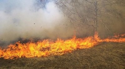 Задействаха BG-Alert заради горски пожар в Сливенско