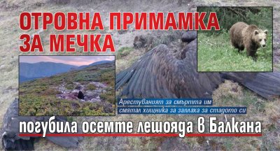 Отровна примамка за мечка погубила осемте лешояда в Балкана