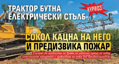 Куриоз: Трактор бутна електрически стълб, сокол кацна на него и предизвика пожар