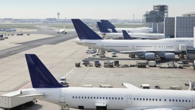Малария уби служител на летището във Франкфурт