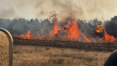 Близо 950 декара растения горят в Бургаско