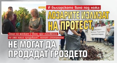 И българското вино под ножа: Лозарите излизат на протест, не могат да продадат гроздето 