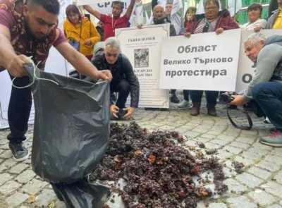 И българското вино под ножа: Лозарите излизат на протест, не могат да продадат гроздето 