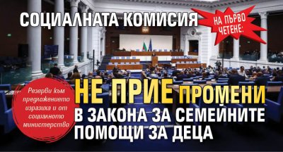 На първо четене: Социалната комисия не прие промени в Закона за семейните помощи за деца