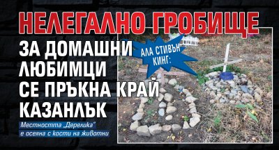 Ала Стивън Кинг: Нелегално гробище за домашни любимци се пръкна край Казанлък