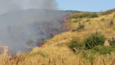 Дете подпали гората край Градец