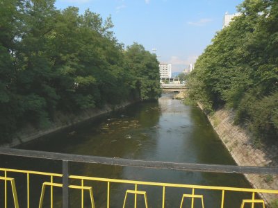 Проверяват Струма за замърсяване заради мъртвата риба