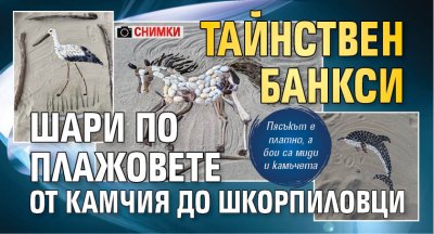 Тайнствен Банкси шари по плажовете от Камчия до Шкорпиловци (СНИМКИ)