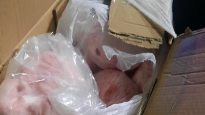 БАБХ нареди да се унищожат 2,2 тона овчи изрезки и банички 