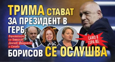 Само в Lupa.bg: Трима стават за президент в ГЕРБ, Борисов се ослушва