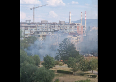 Пожар в столичния квартал "Дружба", горят треви между блоковете