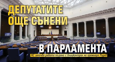 Депутатите още сънени в парламента