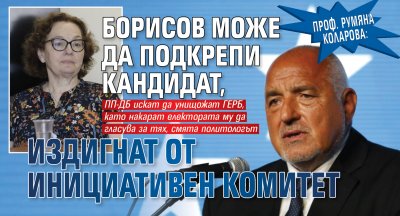 Проф. Румяна Коларова: Борисов може да подкрепи кандидат, издигнат от инициативен комитет
